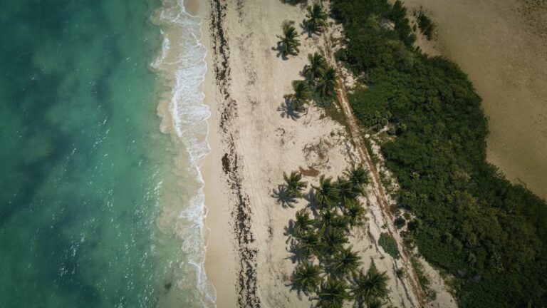 Climate-Proof Vacation Spots: 10 Destinations Thriving Despite Global Weather Changes