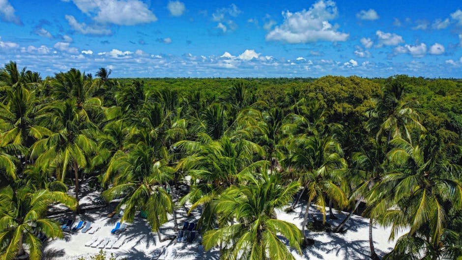 Climate-Proof Vacation Spots: 10 Destinations Thriving Despite Global Weather Changes