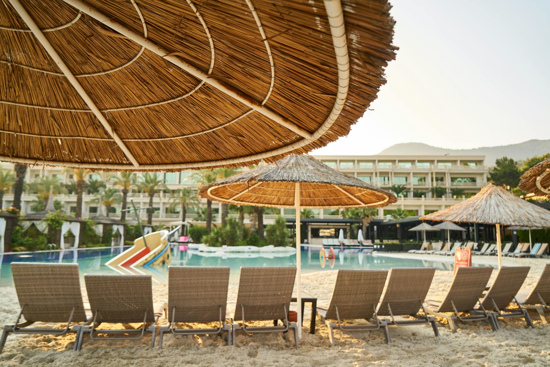 Resort pool area with lounge chairs and palm trees where different age groups can relax and enjoy activities together