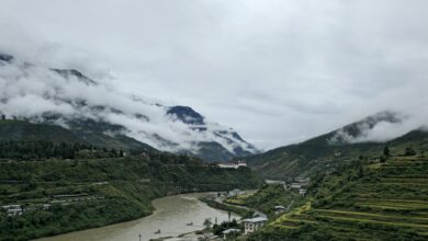 Scenic view of a lush Himalayan valley with traditional Bhutanese architecture surrounded by green hills