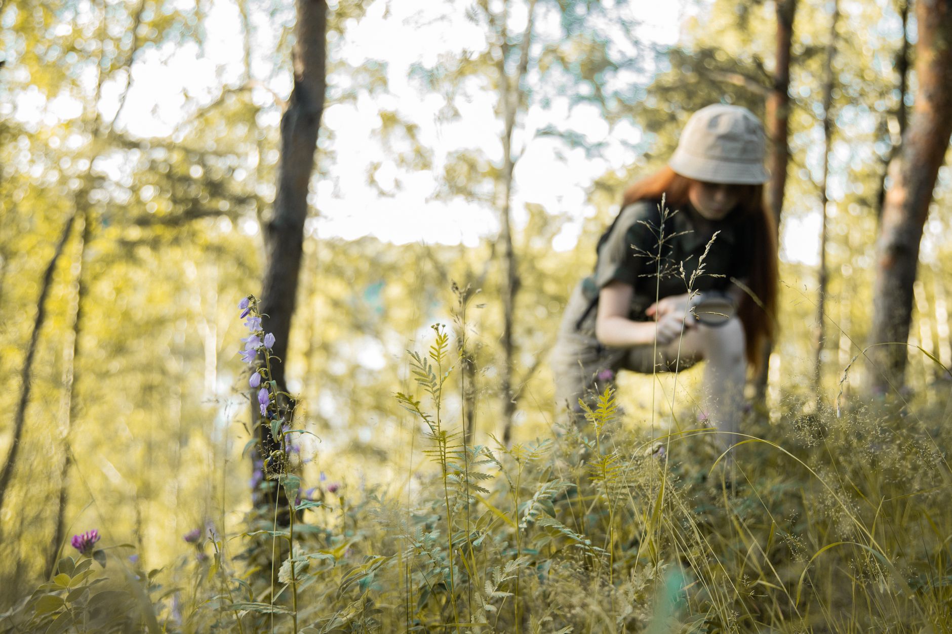 Field researcher observing wildlife in a tropical forest setting