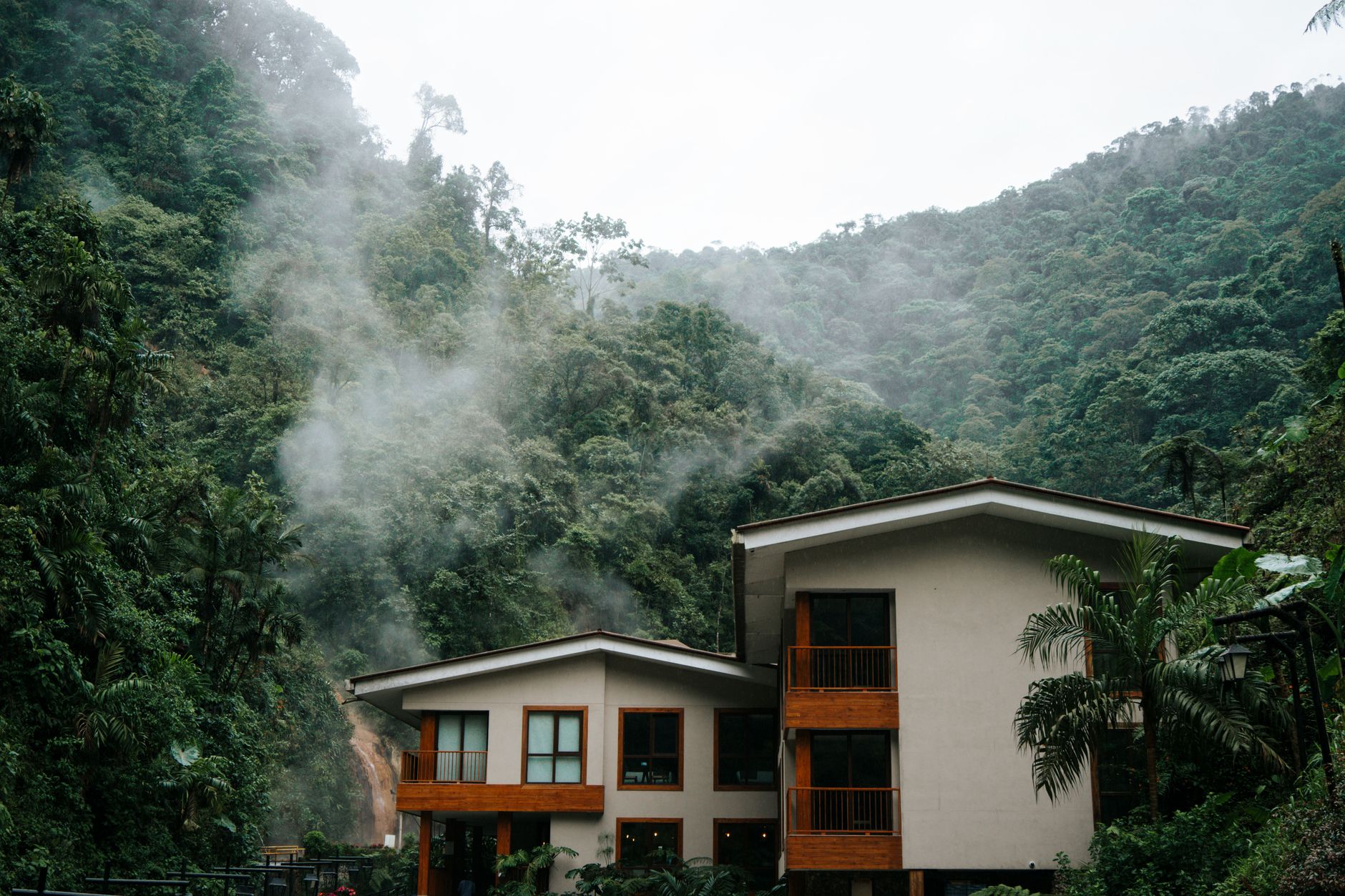 Eco-lodge surrounded by tropical vegetation in a rainforest environment