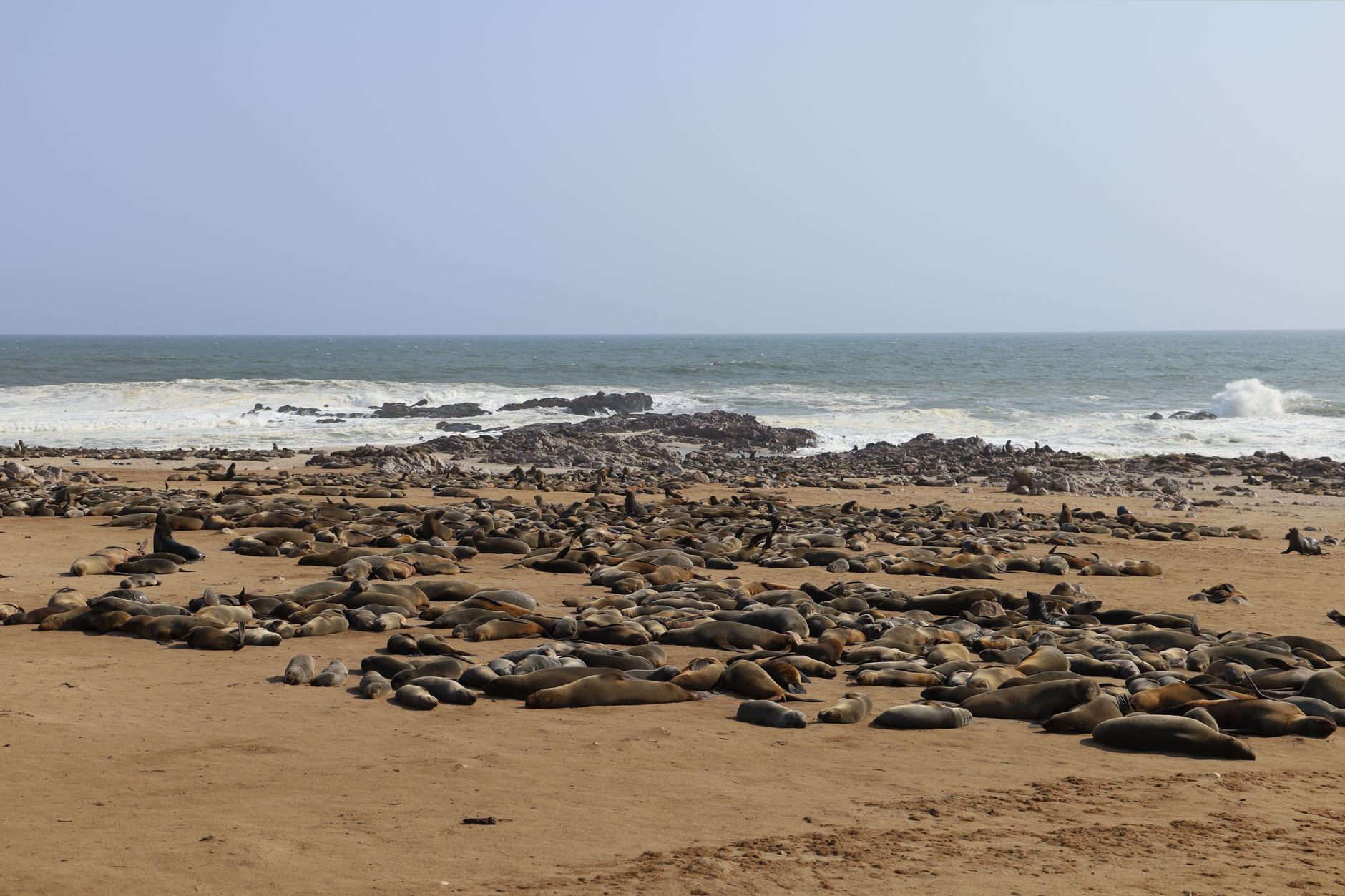 Fog-covered Namibian coastline where the desert meets the Atlantic Ocean