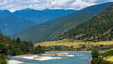 Wide view of a forested Himalayan valley in Bhutan with mountains in the background