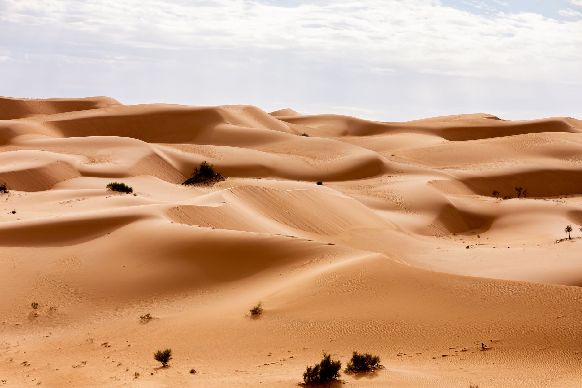 Wide sandy dunes in the Moroccan Sahara under a clear blue sky with no visible structures