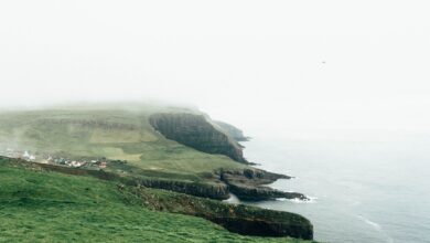 Fog rolling over a lush green coastal cliff during monsoon season in Dhofar, Oman