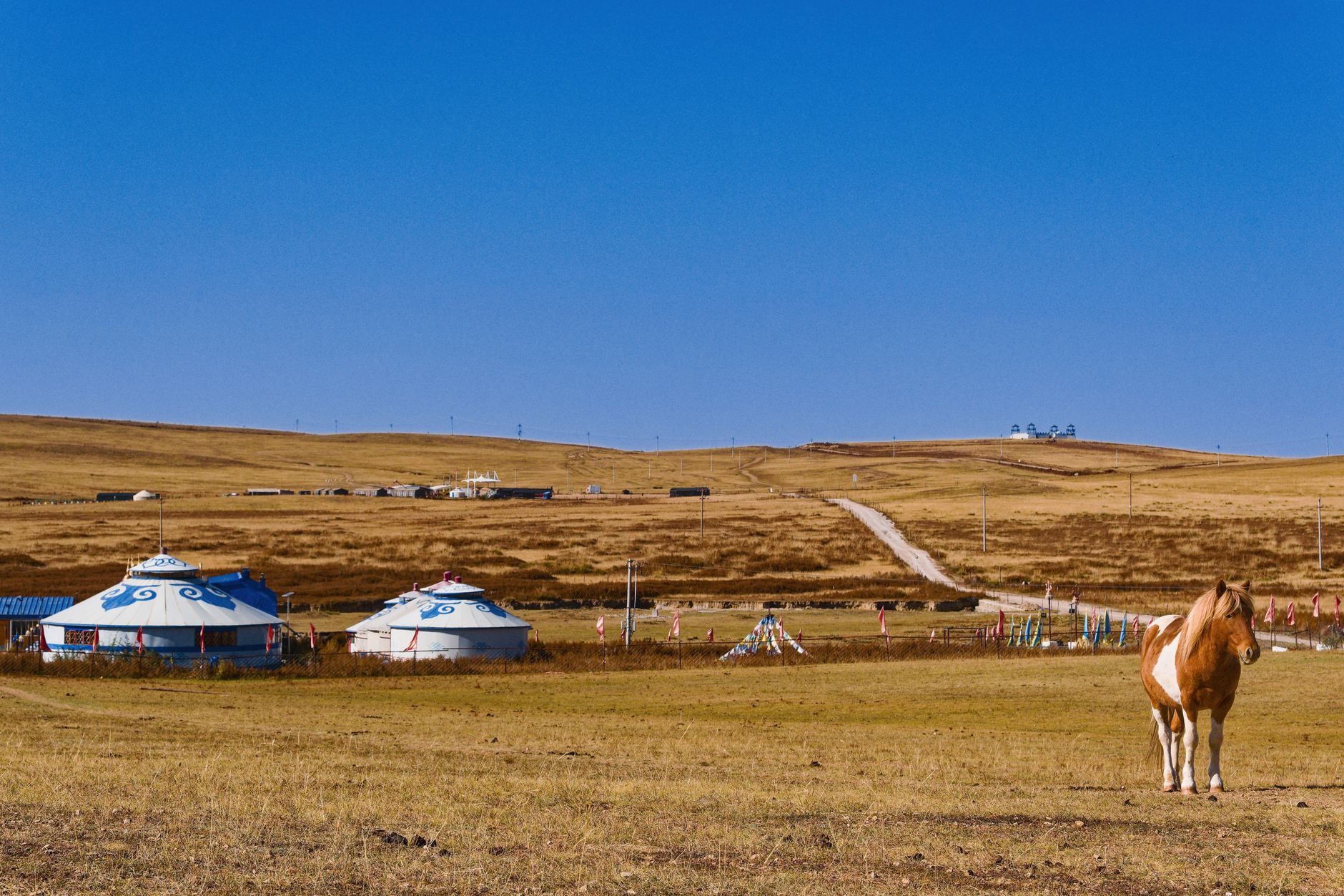 Wide open Mongolian steppe landscape with rolling green hills and a winding river valley