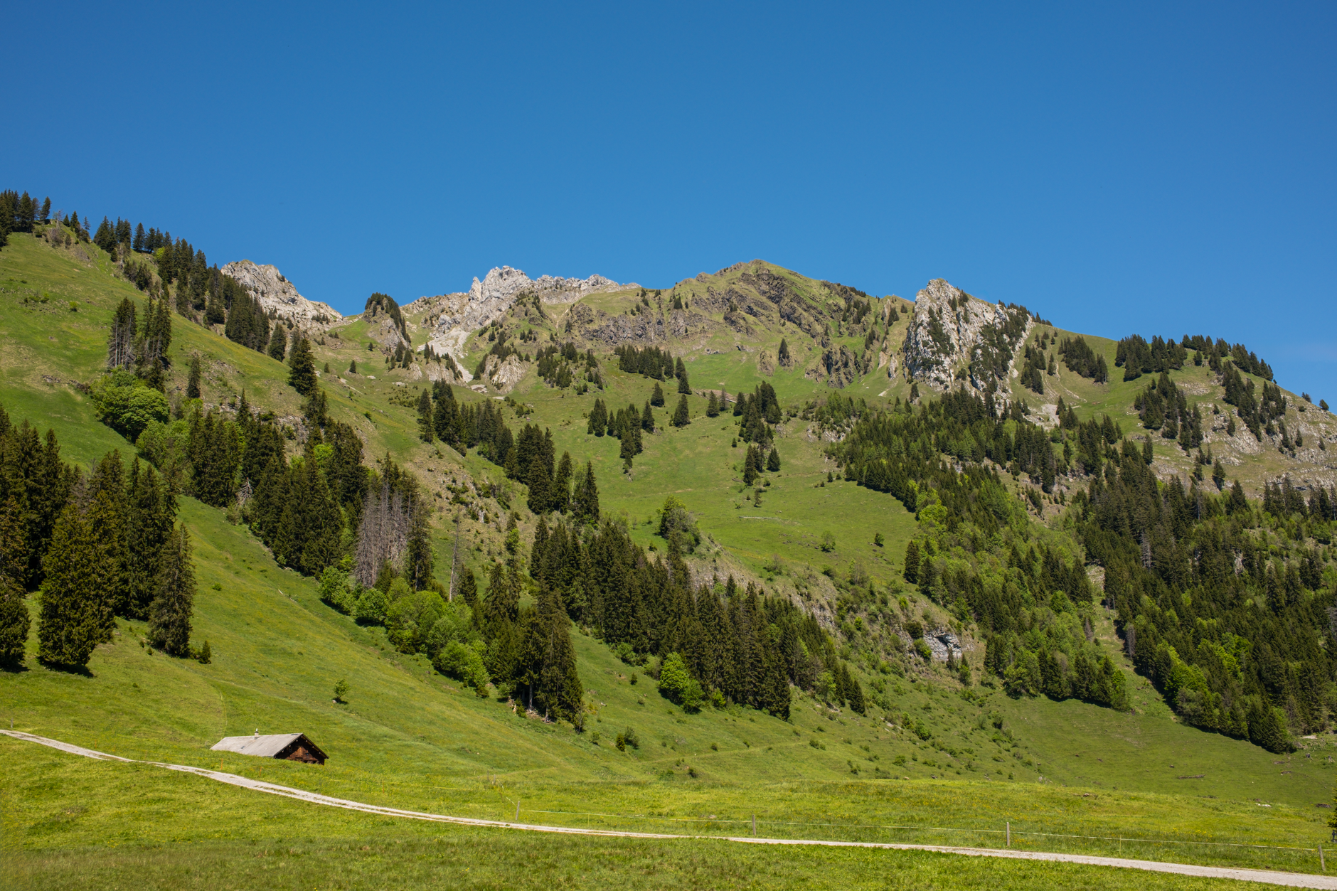 Sweeping highland meadow beneath rugged mountain peaks in Turkey's Kaçkar range