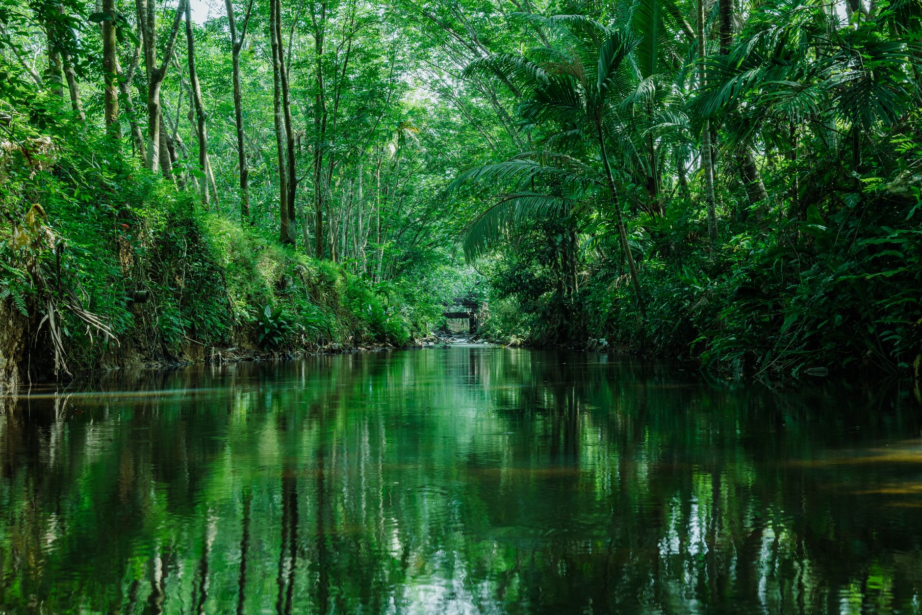 A wide tropical river winding through dense jungle in the Bolivian Amazon lowlands