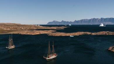 Massive icebergs floating in a calm Arctic fjord under soft daylight near Ilulissat, Greenland