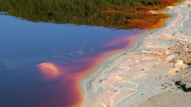 A shallow tropical river with vivid red and orange hues across the rocky riverbed