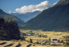 Wide view of a remote Himalayan valley with pine forests and traditional architecture in Bhutan's Haa district