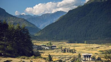 Wide view of a remote Himalayan valley with pine forests and traditional architecture in Bhutan's Haa district
