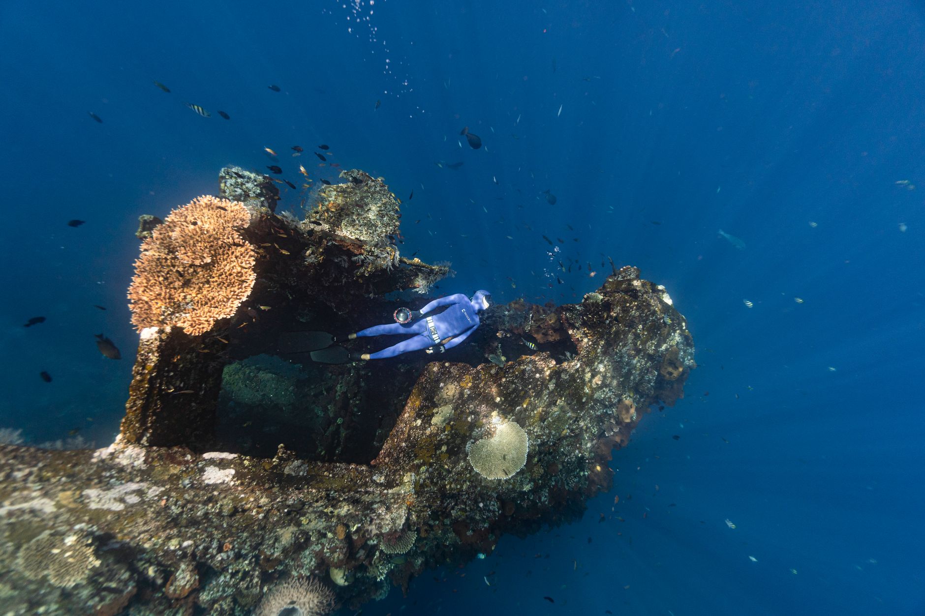 Scuba diver exploring a coral-encrusted shipwreck in clear ocean water