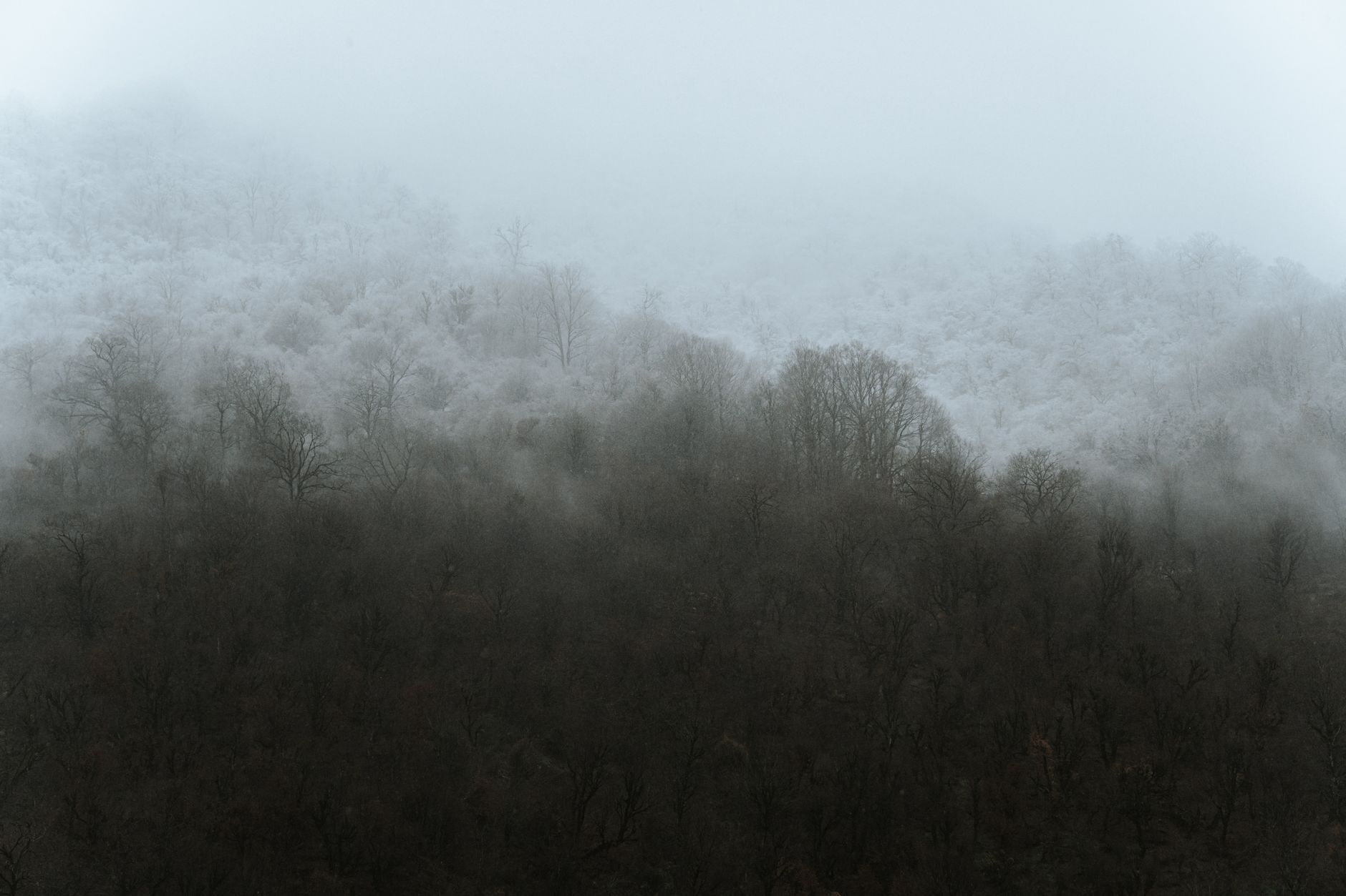 Morning fog drifting across a quiet hillside plateau at dawn