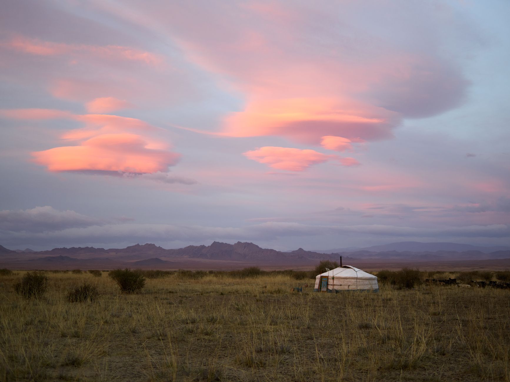 Wide open Mongolian steppe landscape with rolling green hills and blue sky