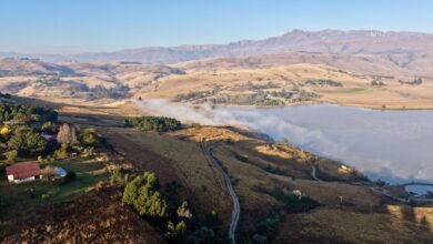 Wide open Afroalpine plateau landscape in the Ethiopian highlands at early morning light