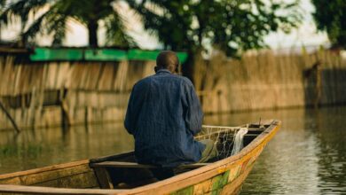 A wooden pirogue canoe on a calm river in West Africa surrounded by mangrove trees