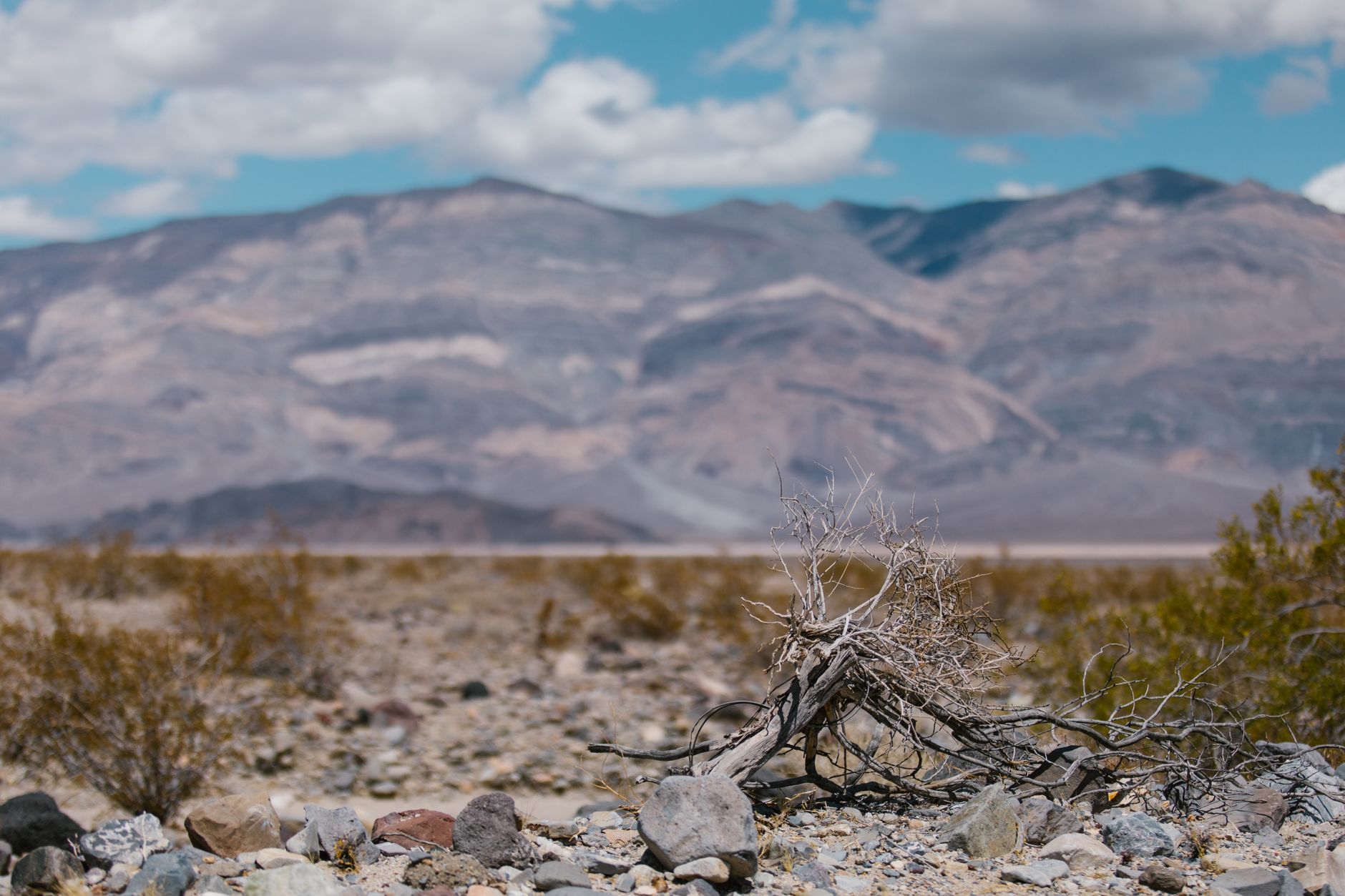Rocky volcanic mountain ridges rising from a vast desert landscape under a clear sky