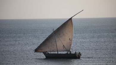 A traditional wooden dhow sailing across calm Indian Ocean waters near a coral island