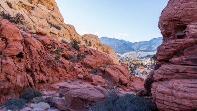 Towering sandstone rock formations rising above the flat desert floor of Wadi Rum at golden hour