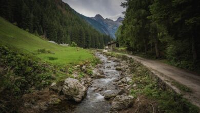 Clear mountain river flowing through a remote alpine valley with forested slopes