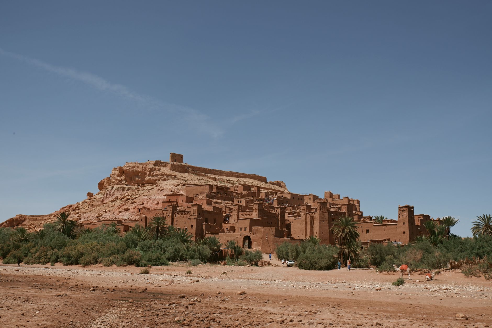 Ancient earthen kasbah fortress rising above a palm grove in Morocco's Draa Valley