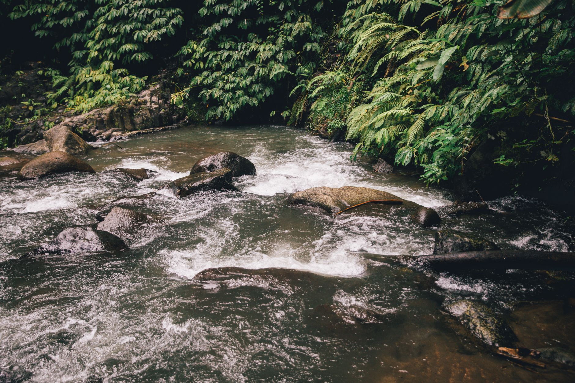 A slow wide river cutting through dense tropical rainforest in Papua New Guinea