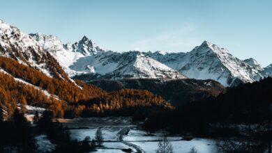 Snow-covered mountain valley in a high-altitude landscape with pine forests and clear winter skies