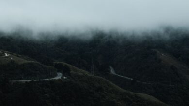 Winding mountain road descending through dense cloud forest in Bolivia's Yungas region