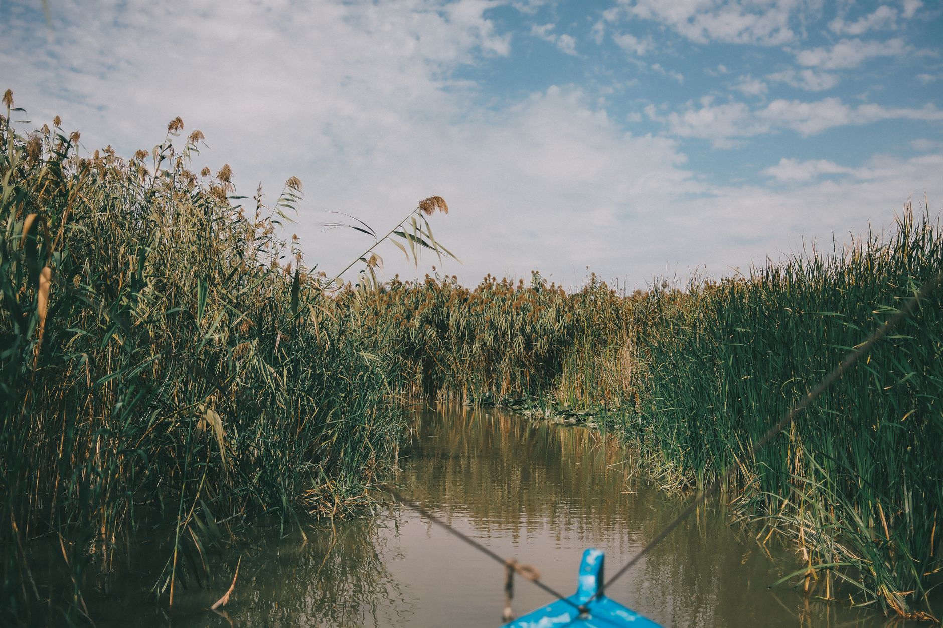 Traditional wooden reed boat moving through narrow waterway flanked by tall papyrus reeds