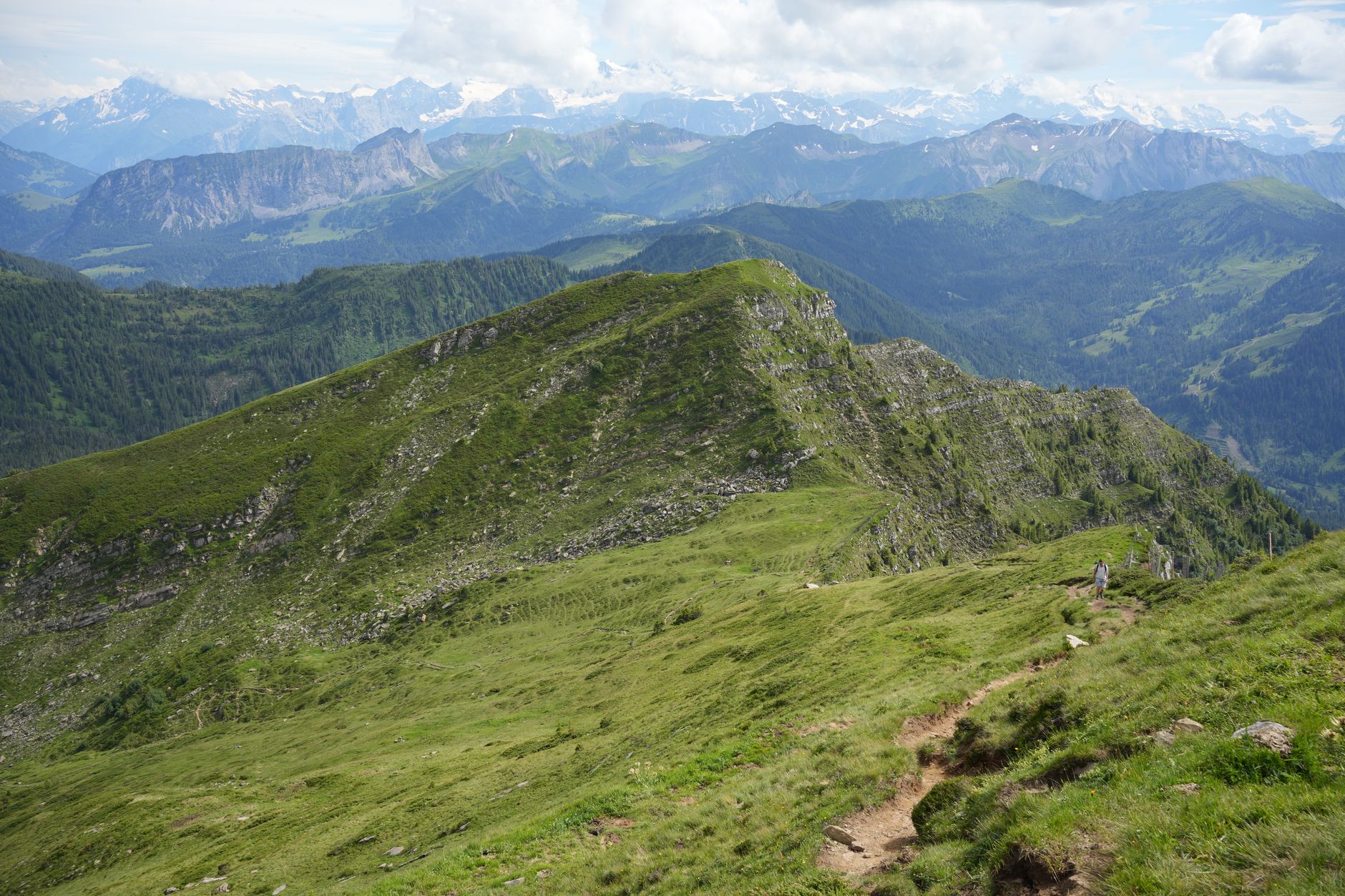Hiker ascending a steep Andean mountain trail through cloud forest vegetation